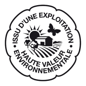 image-removebg-preview (1)